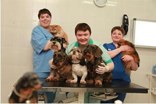 Veterinær klinik i Lipetsk. Til hvem at betro dit kæledyrs liv?